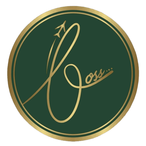 Roadmap for Successful Landing in Japan